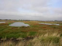 Thorne and Hatfield Moors
