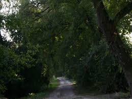 Parco della Golena del Po