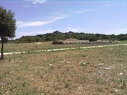 Parco archeologico di Monte Sannace