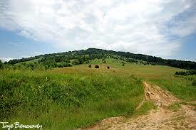 Suliła