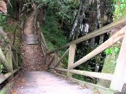 el Paseo das Aceas