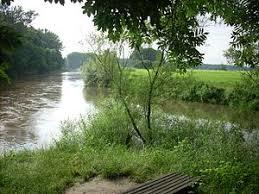 Leineaue zwischen Ruthe und Koldingen