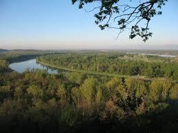 Limberg