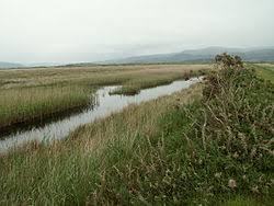 Afon Leri
