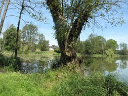 Herzberger See