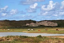 Grafelijkheidsduinen