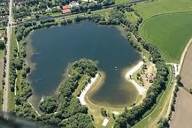 Sander See