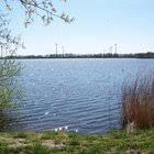 Accumer See