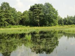 Schwarzes Meer
