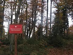 Rezerwat Stok Szyndzielni