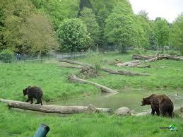 Wildpark Tiergarten Weilburg