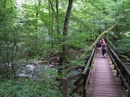 Holzbachdurchbruch