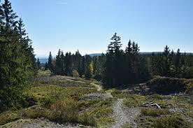 Fellberg