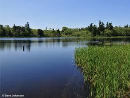 Buck Lake