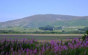 Black Combe
