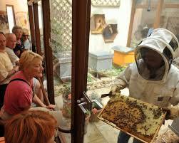 Musée La Maison des Abeilles