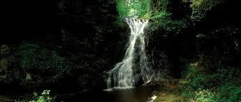 Hareshaw Linn