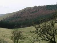 Housedon Hill