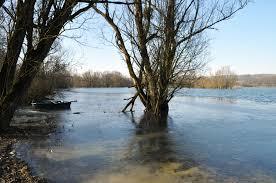Lac de la Vingeanne