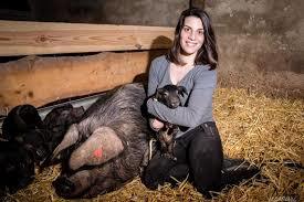 La ferme de Bidache véritables porcs noirs gascons