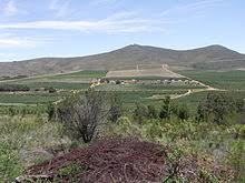 Langkloof
