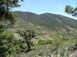 Sierra de Albayate