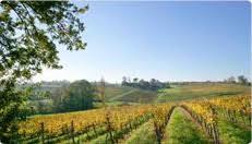 Domaine Montgilet