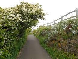 Poets Walk