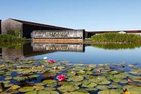 Cognac Rémy Martin