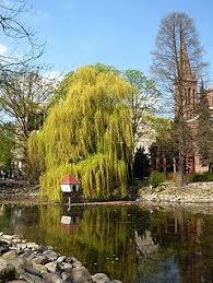 Casimir the Great Park