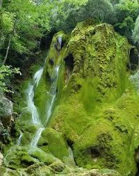 Cascade Verte