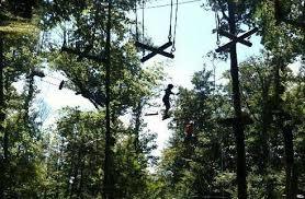 Tarz en Arbre