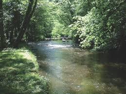 Vallée du Cousin
