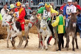 Palio degli Asini