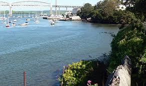 Kinterbury Creek Nature Reserve