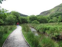 RSPB Gwenffrwd-dinas