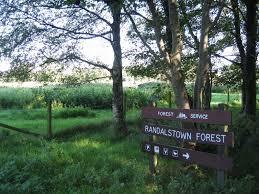 Randalstown Forest