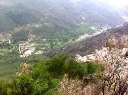 Miradouro da Junceda