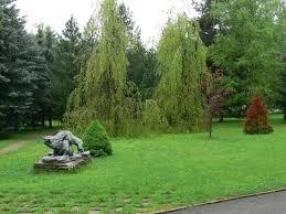 Liptovsky Hradok arboretum