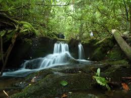 Boone Fork Trail