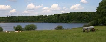 Brinkenweiher
