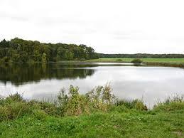 Schwarzer See
