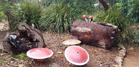 Shoalhaven Heads Native Botanic Garden