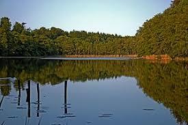 Gliensee