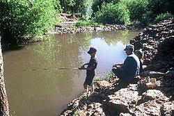 Christopher Creek