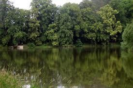 Oborský rybník