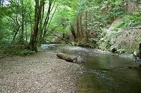 Eifgenbach