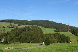 Weißtannenhöhe
