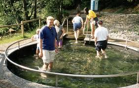 Barfusspark Hallwangen