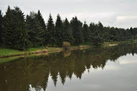 Beliansky rybnik